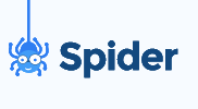 Spider Technology Group