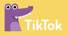 TikTok Inc.