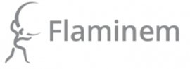 Flaminem