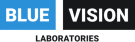 Blue Vision Labs - LYFT