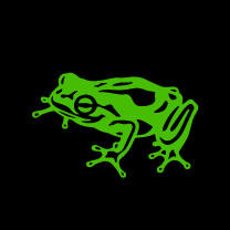 frog Design