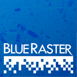 Blue Raster L.L.C.