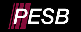 PESB Ltd