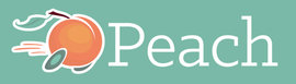Peach Labs Inc