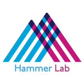 Hammer Lab
