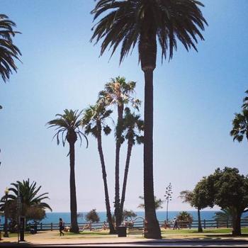Subblime - Our office is located by the beach in beautiful Santa Monica!