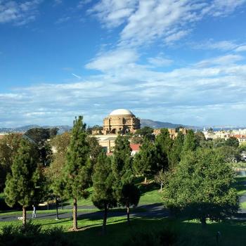 Rested - Our office is located in Presidio, looking out at the beautiful Palace of Fine Arts.