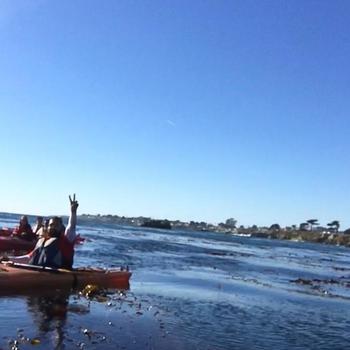 ShopCo Technologies - Kayaking in the SF Bay - everyone survived!