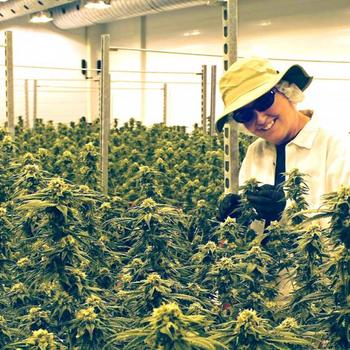 Canopy Growth Corporation - You will be supporting hard working people like Julie