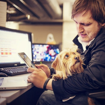 Zynga - Bring your dog to work everyday!