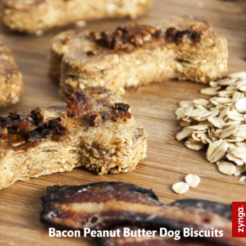 Zynga - Doggy treats are always available for your pooch at the office