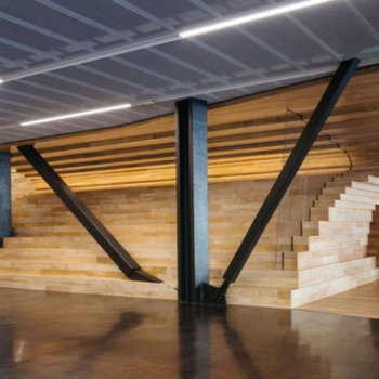 Dolby Laboratories - The Hill, an open-staircase concept, creates space for community and collaboration.
