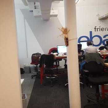 Uru (acquired by Adobe) - Our office at Friends of Ebay