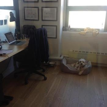 BoardPackager - That's Louie - our company mascot who sits in on only the important meetings.