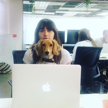 Tab Media - Meet Lola, our office dog