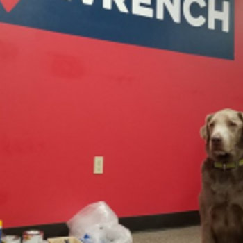 Wrench - Dug, our Chief Security Officer