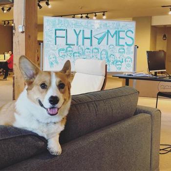Flyhomes Inc. - Company Photo