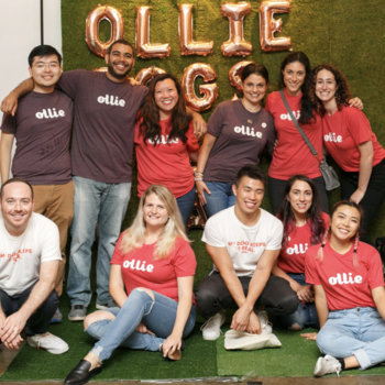 Ollie - The Ollie team at our annual fundraiser for Animal Haven. Beers and fur-buddies at the Brooklyn Brewery!