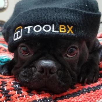 TOOLBX - Even dogs rock our sweet swag!