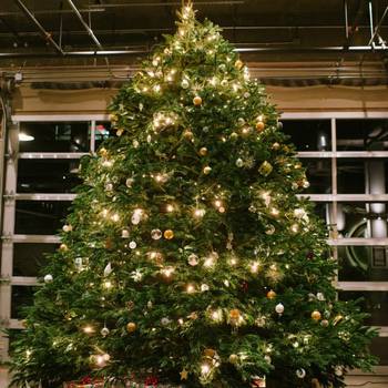 Tellapart, Inc. - Christmas Tree
