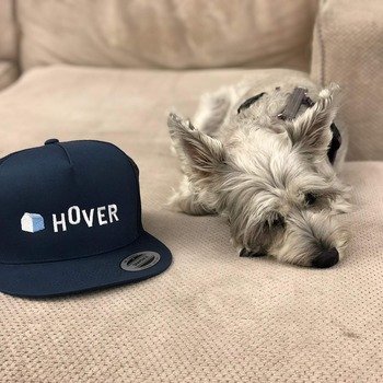 HOVER - We love our Dogs here at HOVER. (We love our Cats also! We have a very active Cats slack channel)