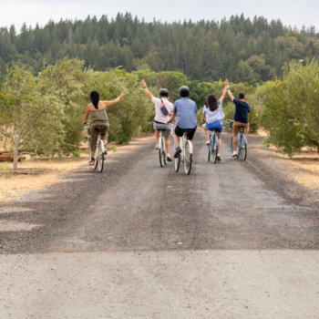 Aalto - Riding bikes at a winery in Sonoma