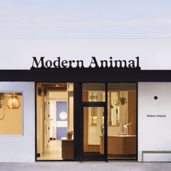Modern Animal - Our West Hollywood Office