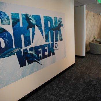 Discovery Inc - Shark Week!