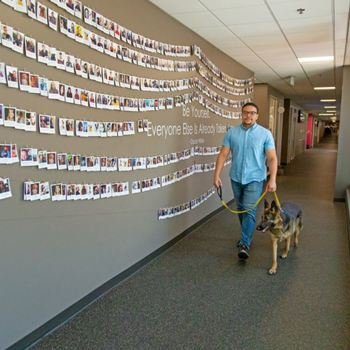 Trupanion, Inc. - An employee and their German Shepherd walking by the employee photo wall in the Seattle office. 