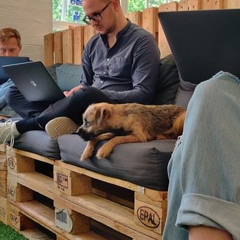 NearSt - Teams working at our dog friendly office.