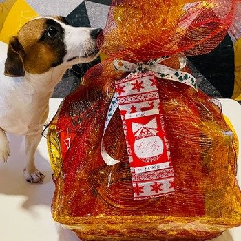 Navagis - Christmas basket for all employees minus the dog