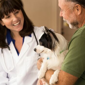 IDEXX Laboratories, Inc. - A vet talking to a pet parent who is holding his dog.