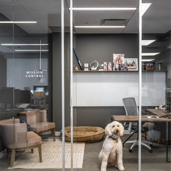 Boll & Branch - Our Summit HQ and New Providence Studio are Dog-Friendly spaces!