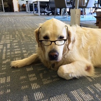 BayPoint Benefits - Cooper is here on Mondays and Fridays. He does't always wear glasses.