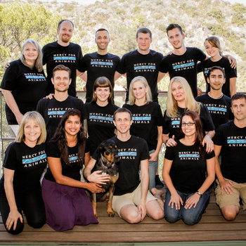 Mercy For Animals - Our Team!