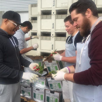Clariture Health (now Trilliant Health) - Volunteering at the SF Food Bank.