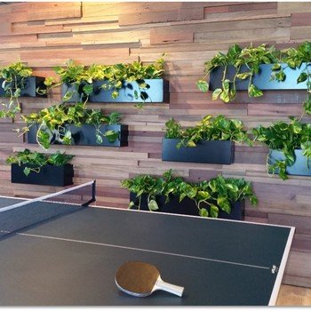 Intuit Inc. - Our Australia office knows how to bring fun and nature together