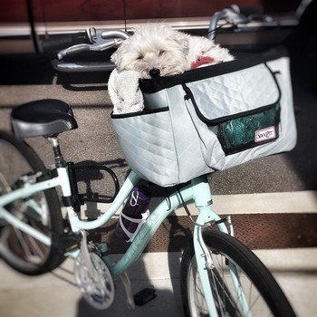 Chronos Interactive Media, Inc. - Two of Chronos' faves...puppies and biking to work! We have 3 dogs who are regulars in the office.